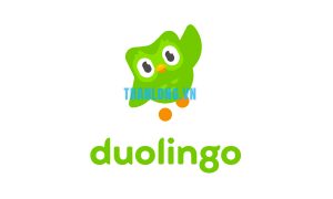 cách tải duolingo